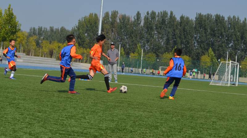 必一运动(B-Sports)官方网站 欧冠小组赛与淘汰赛的区别